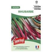 Graines de rhubarbe. . Marque : Sanrival Réf. : 0444