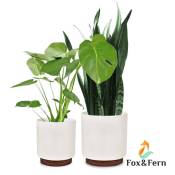 Fox&fern - Pot de Fleur Interieur, Lot de 2 Pot pour