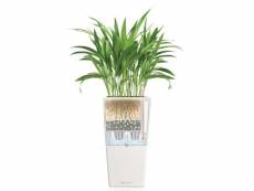 Lechuza jardinière cubico color 30 all-in-one blanc