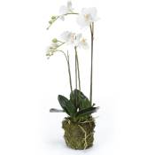 Emerald - Orchidée phalaenopsis artificielle 70 cm