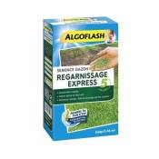 Algoflash - Gazon regarnissant express 5 jours 1kg
