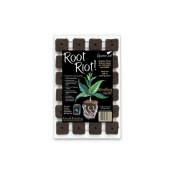 Growth Technology - Plug Root riot x 24 - Bouturage