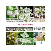 Kit Jardin blanc - 9 variétés - lot de 12 godets