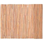 Clôture Bambou 100x600 cm vidaXL - Marron