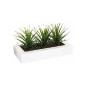 Plante Artificielle Aloe Vera H17cm Silumen Blanc