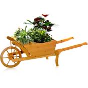 Chariot à fleurs brouette de jardin brouette de bois