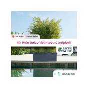 Haie Brise-vue Balcon Bambou 'campbell' 10L en kit