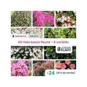 Leaderplantcom - Kit Haie Basse Fleurie - 8 variété