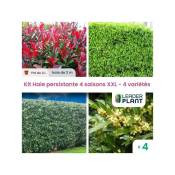 Leaderplantcom - Kit Haie persistante 4 saisons xxl