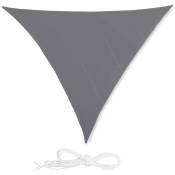 Voile d'ombrage triangle 6 x 6 x 6 m gris - Gris