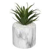 Plante Grasse Artificielle 18cm avec pot marbre - Blanc