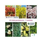 Leaderplantcom - Kit Haie persistante - 7 variétés