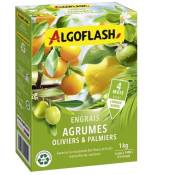 Algoflash - Engrais Agrumes, Olivers et Palmiers naturasol