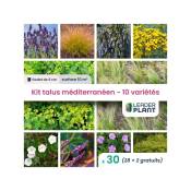 Leaderplantcom - Kit talus méditerranéen - 10 variétés