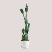 Cactus Artificiel Opuntia 60 cm Sklum 60 cm - ↑60