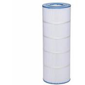 Cartouche de filtration pour filtre de piscine C3025/3030