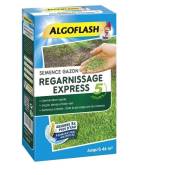 ALGOFLASH - Gazon regarnissant express 5 jours 1kg