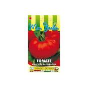 Graines Bocquet - Tomate Merveille des marchés - 0,5g