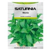 Saturnia - Graines de menthe aromatique (0,3 gramme)