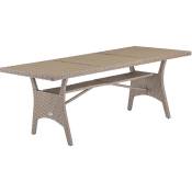 Table de jardin polyrotin 190x90x74 cm plateau en bois