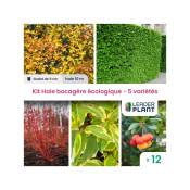 Leaderplantcom - Kit Haie Bocagère Écologique –