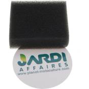 Jardiaffaires - Filtre à air mousse compatible avec