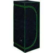 40 x 40 x 160cm Grow Box Tent Intérieur Serre Cabinet