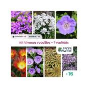 Leaderplantcom - Kit Vivace rocaille - 7 variétés