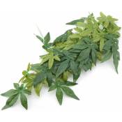 Oylda - Plantes artificielles, feuilles artificielles,