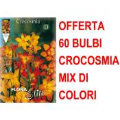 Peragashop - offre 60 bulbes crocosmia crocosmiiflora