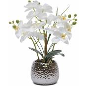 Gojoy - Plante artificielle Orchidée Fleurs artificielles
