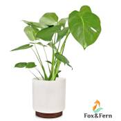 Fox&fern - Pot de Fleur Interieur, Pot pour Plantes