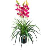 Orchidée Plante Artificielle Artificiel avec Pot 100cm