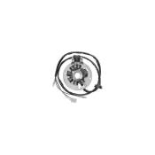 Stator adaptable Yamaha / MBK 50 BWS / Booster
