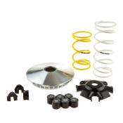 Variateur Malossi Multivar 2000 pour Honda Forza 125