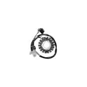 Stator adaptable Kymco Grand Dink / People250