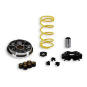 Variateur Malossi Multivar Address