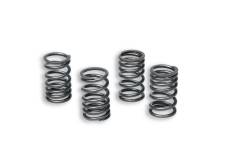 Ressorts d'embrayage Malossi Racing AM6