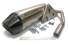 Silencieux d'chappement Malossi Maxi Wild Lion BMW