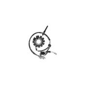 Stator adaptable Sym Joyride / HD 125 / 150 / 200