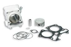 Kit cylindre Malossi Alu 170 Honda SH 150