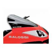 Bulle Malossi fumée TMax 500 2008/11