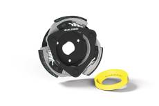 Embrayage Honda Forza 125 Malossi Maxi Delta Clutch