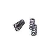 Ressorts d'embrayage speed clutch Polini