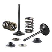 Kit Conversion de Soupapes d’Échappement PSYCHIC