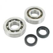 Kit roulements + joints spy Athena Piaggio NRG 50 95-97