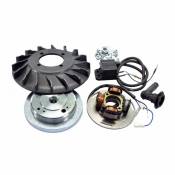 Allumage 12V Polini pour Vespa 125 PX/PE