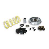 Variateur Malossi Multivar Derbi Predator / Atlantis / Paddock / Hunte