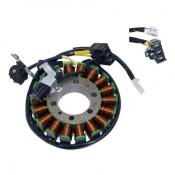 Stator Top Performances pour Honda SH 300 07-10