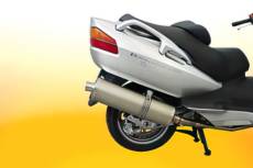Pot d'chappement Malossi Wild Lion Piaggio MP3 400cc